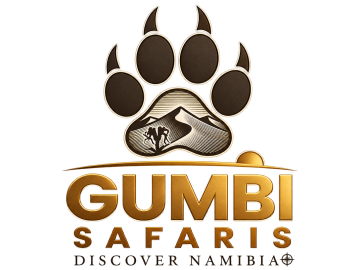 Gumbi Safaris — Authentic Wildlife Safaris & Seamless Transportation Across Namibia