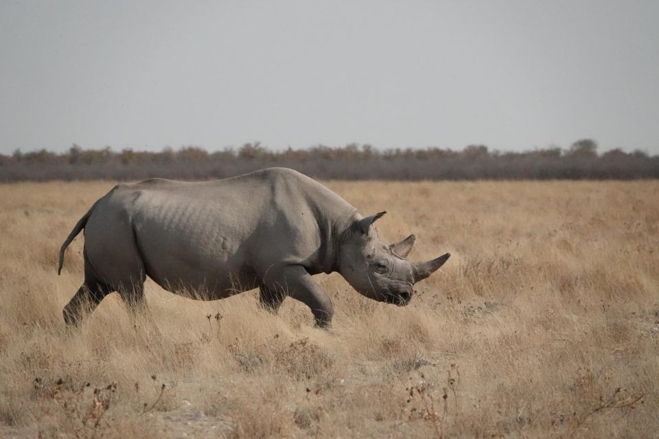 Namibia safaris & overland expeditions