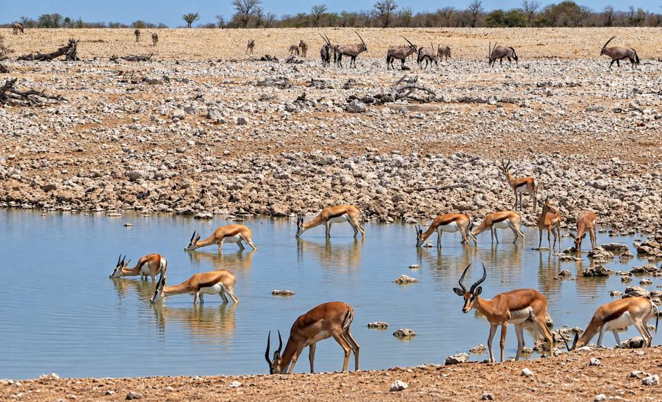 25-Day Trans-Southern Africa Grand Overland Expedition