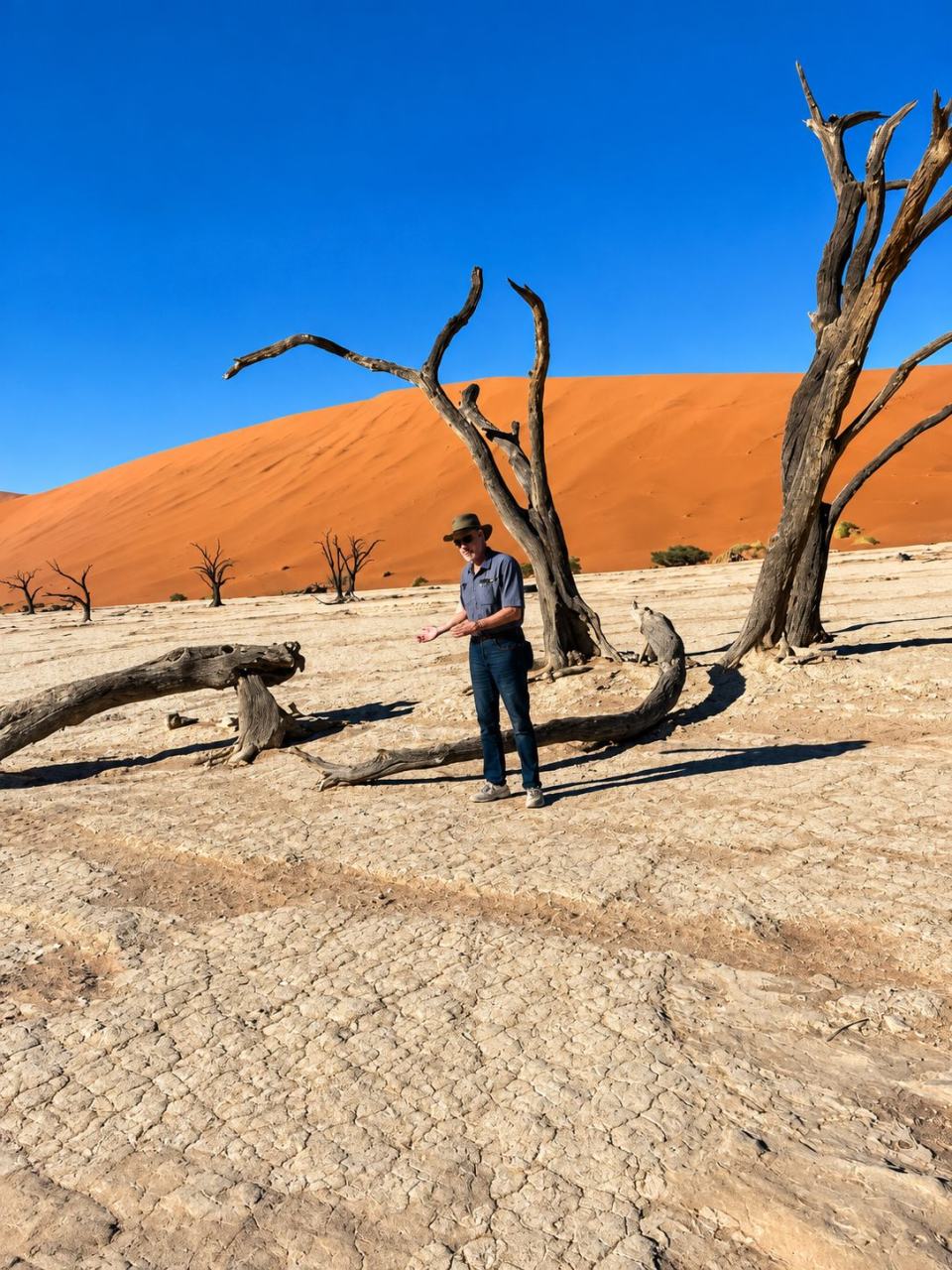 Sossusvlei, Deadvlei & Sesriem Canyon