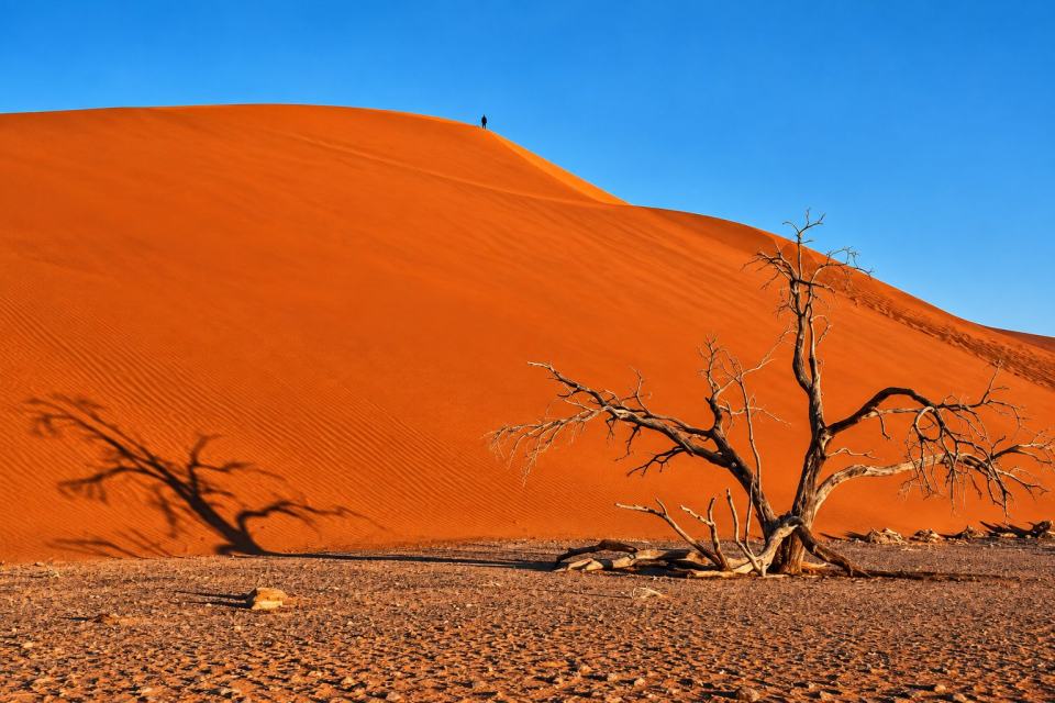 6-Day Etosha & Sossusvlei Adventure